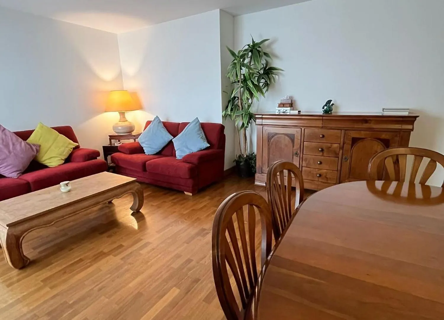 Appartement Cosy contacts